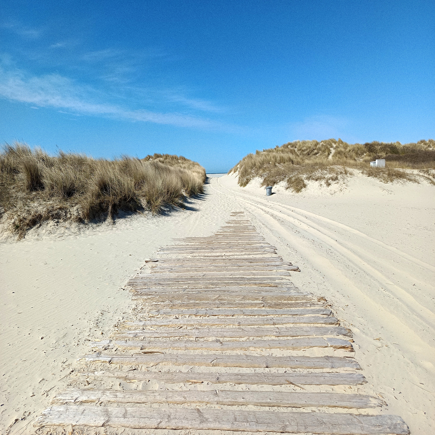 Strand mit Weitblick