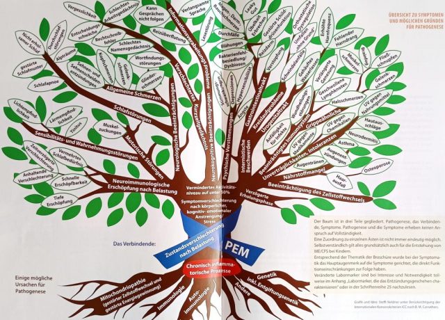 Baum